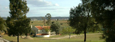 Site logo
